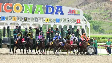Reconocido entrenador venezolano sale en defensa de Franklin Puello Jr., en las redes sociales Reconocido entrenador venezolano sale en defensa de Franklin Puello Jr., en las redes sociales