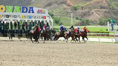 Está es la razón por la cual los comisarios abrieron averiguación administrativa a Franklin Puello Jr. Está es la razón por la cual los comisarios abrieron averiguación administrativa a Franklin Puello Jr.