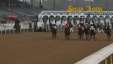 Jockey múltiple campeón defiende a Franklin Puello Jr. por hechos en La Rinconada Jockey múltiple campeón defiende a Franklin Puello Jr. por hechos en La Rinconada