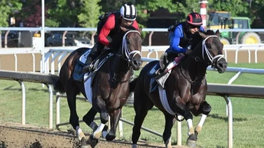 Todd Pletcher inscribe 3 caballos al Belmont Stakes ¿Cuál montará Irad Ortiz Jr.?
