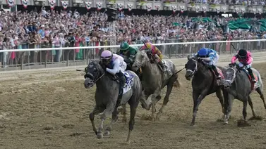 A Gaffalione lo bajan de Sierra Leone y mira el ejemplar que montará ahora en el Belmont Stakes A Gaffalione lo bajan de Sierra Leone y mira el ejemplar que montará ahora en el Belmont Stakes