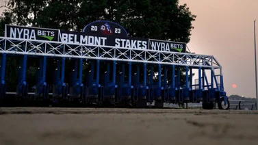 Así partirán los competidores del Belmont Stakes (G1) de 2024 este sábado