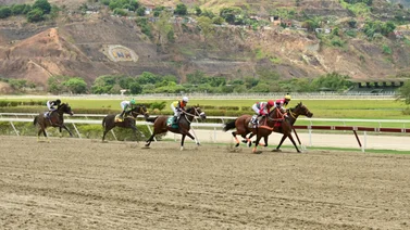 Estas son las participantes de la cuarta edición del Clásico Bambera en La Rinconada