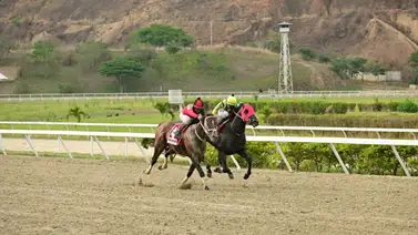 Conoce la nómina del Clásico "Ejercito Bolivariano" en su edición LXX en La Rinconada Conoce la nómina del Clásico "Ejercito Bolivariano" en su edición LXX en La Rinconada