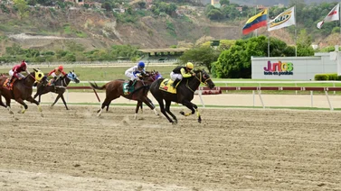 Debuta hijo de un semental que dio una ganadora en el Clásico Confraternidad del Caribe