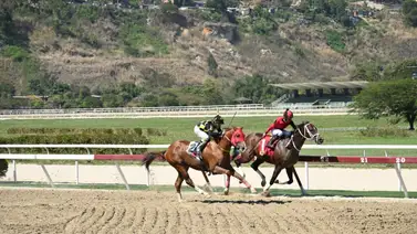 Mira la increíble efectividad que tienen Templario en 1.800 metros Mira la increíble efectividad que tienen Templario en 1.800 metros
