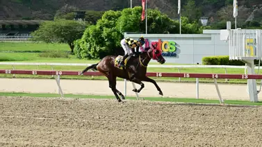 Riccardo D’Angelo inscribe a esta yegua que reaparece en La Rinconada luego de 77 días sin correr Riccardo D’Angelo inscribe a esta yegua que reaparece en La Rinconada luego de 77 días sin correr