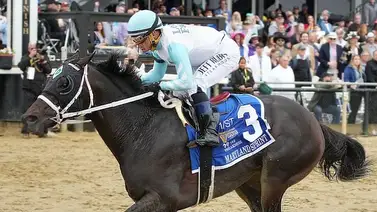 Este es el entrenador latino con más Graded Stakes ganados en el 2024 en EE.UU Este es el entrenador latino con más Graded Stakes ganados en el 2024 en EE.UU