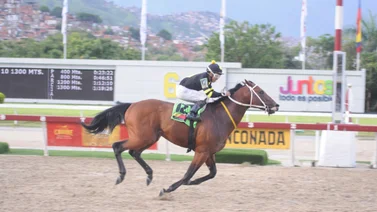 Caballo que en sus dos últimas carreras ha sido favorito aparece inscrito nuevamente para este domingo