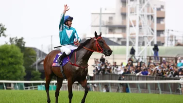 Estos son los diez mejores caballos del mundo ¡Ni un americano o japonés!