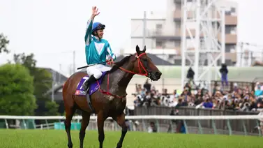 Estos son los diez mejores caballos del mundo ¡Ni un americano o japonés! Estos son los diez mejores caballos del mundo ¡Ni un americano o japonés!