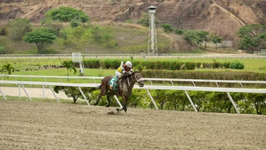 Conoce este curioso dato de Daniela Runner que va a correr en el Clásico Bambera