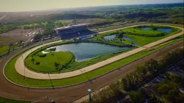Conoce a las tres mejores yeguas de la historia de la hípica en Puerto Rico Conoce a las tres mejores yeguas de la historia de la hípica en Puerto Rico