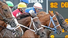 Puertorriqueño gana cuatro y alcanza sus primeras 200 victorias como jockey en Estados Unidos 