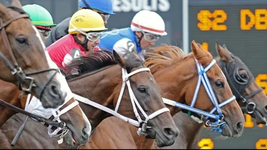 Puertorriqueño gana cuatro y alcanza sus primeras 200 victorias como jockey en Estados Unidos 