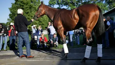 Solo tres ejemplares de Bob Baffert fueron inscritos en el Belmont Stakes Racing Festival Solo tres ejemplares de Bob Baffert fueron inscritos en el Belmont Stakes Racing Festival