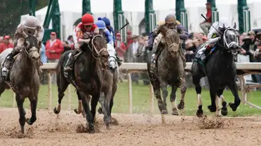 Louisiana da marcha atrás en nuevas medidas sobre Clenbuterol y Antidoping Louisiana da marcha atrás en nuevas medidas sobre Clenbuterol y Antidoping