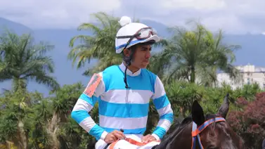 Estos son los ejemplares que más le gustan a Robert Capriles para el domingo (+Video) Estos son los ejemplares que más le gustan a Robert Capriles para el domingo (+Video)