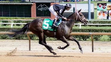 Jockey venezolano duplica este martes en hipódromo de Estados Unidos 
