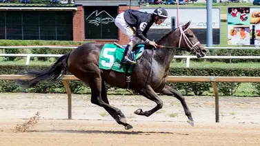 Jockey venezolano duplica este martes en hipódromo de Estados Unidos Jockey venezolano duplica este martes en hipódromo de Estados Unidos