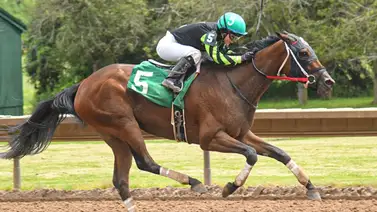 Yoqueta americana logra triplete y llega a importante cifra de victorias Yoqueta americana logra triplete y llega a importante cifra de victorias