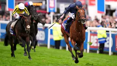 El caballo que puede desplazar a Galileo como el más valioso del planeta El caballo que puede desplazar a Galileo como el más valioso del planeta