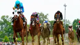 Tres jockeys de Puerto Rico entre los 6 más ganadores de Stakes de Grado en Saratoga