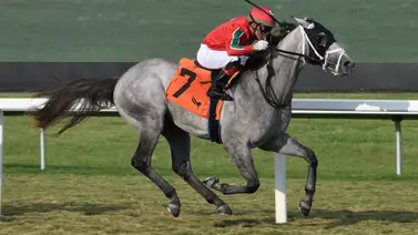 Estos son los 5 entrenadores venezolanos más ganadores en Estados Unidos este año Estos son los 5 entrenadores venezolanos más ganadores en Estados Unidos este año
