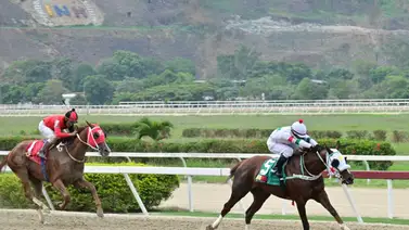 Como ajusta esta potra puede ser el batacazo del Clásico Hipódromo La Rinconada Como ajusta esta potra puede ser el batacazo del Clásico Hipódromo La Rinconada