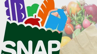 Cupones SNAP: Estos son los primeros 6 estados beneficiados 