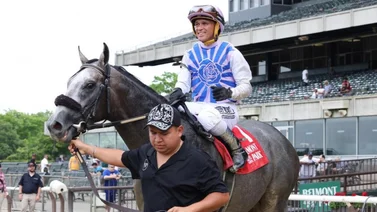 Mira el montón de clásicos que va a montar Javier Castellano en el Belmont Festival