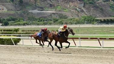 Potra que siempre han tenido como campeona echa candela en su ajuste