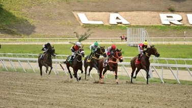 De la forma como ajusta está yegua debe mantener su racha ganadora en La Rinconada