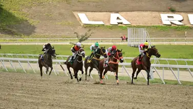 De la forma como ajusta está yegua debe mantener su racha ganadora en La Rinconada De la forma como ajusta está yegua debe mantener su racha ganadora en La Rinconada