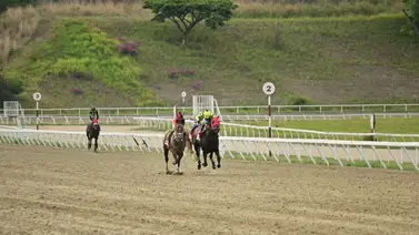 Ejemplar que quiere revancha en La Rinconada ajusta "clavo" Ejemplar que quiere revancha en La Rinconada ajusta "clavo"