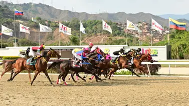 Mira el ajuste de esta yegua que puede sorprender en el Clásico Bambera Mira el ajuste de esta yegua que puede sorprender en el Clásico Bambera