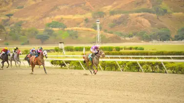 Como ajusto este ejemplar puede ser el "gran tajo" de las competencias no válidas Como ajusto este ejemplar puede ser el "gran tajo" de las competencias no válidas