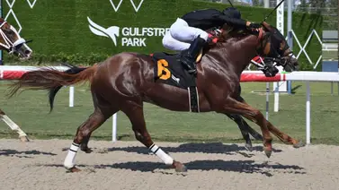 Jockey venezolano el más destacado del jueves en este hipódromo de Estados Unidos Jockey venezolano el más destacado del jueves en este hipódromo de Estados Unidos
