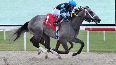 Jockey campeón en California gana con su primera monta del año en Florida