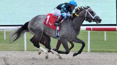 Jockey campeón en California gana con su primera monta del año en Florida Jockey campeón en California gana con su primera monta del año en Florida