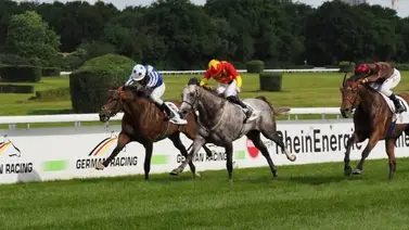 Las nuevas leyes alemanas que amenazan el futuro del hipismo Las nuevas leyes alemanas que amenazan el futuro del hipismo