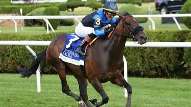 La yegua latinoamericana que derrotó a 8 europeas y 4 americanas en Saratoga La yegua latinoamericana que derrotó a 8 europeas y 4 americanas en Saratoga