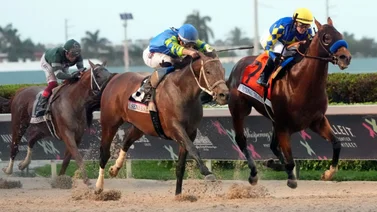 Así quedaron los resultados de las carreras Gulfstream Park 08-06-2024