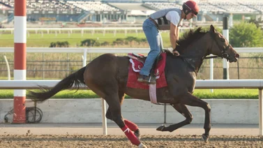 Jockey boricua gana dos Clásicos de Grado en Saratoga con ejemplares latinoamericanos