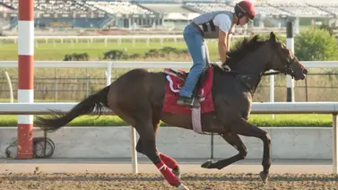 Jockey boricua gana dos Clásicos de Grado en Saratoga con ejemplares latinoamericanos Jockey boricua gana dos Clásicos de Grado en Saratoga con ejemplares latinoamericanos