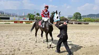 Mira cómo ajusta esta yegua que puede ser la gran sorpresa de la R22 de La Rinconada Mira cómo ajusta esta yegua que puede ser la gran sorpresa de la R22 de La Rinconada