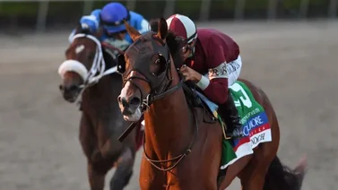 Dornoch el hermano completo de Mage, se creció en el Belmont Stakes de 2024