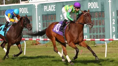 Conoce la millonada que pagaron en 2023 por la madre de Dornoch Conoce la millonada que pagaron en 2023 por la madre de Dornoch