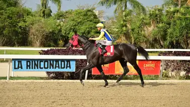 ¡Clásico de alto calibre en la Rinconada! Templario y El De Froix buscan la gloria en el "Ejército Bolivariano" ¡Clásico de alto calibre en la Rinconada! Templario y El De Froix buscan la gloria en el "Ejército Bolivariano"