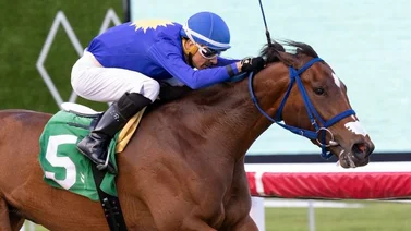 Así quedaron los resultados de las carreras Gulfstream Park 09-06-2024